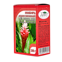 ИМБИРЬ сироп (фл.) 250мл Лимон-Облепиха