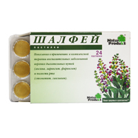 ШАЛФЕЙ паст. 12 шт.