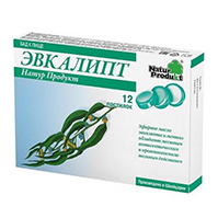 ЭВКАЛИПТ паст. 24 шт.